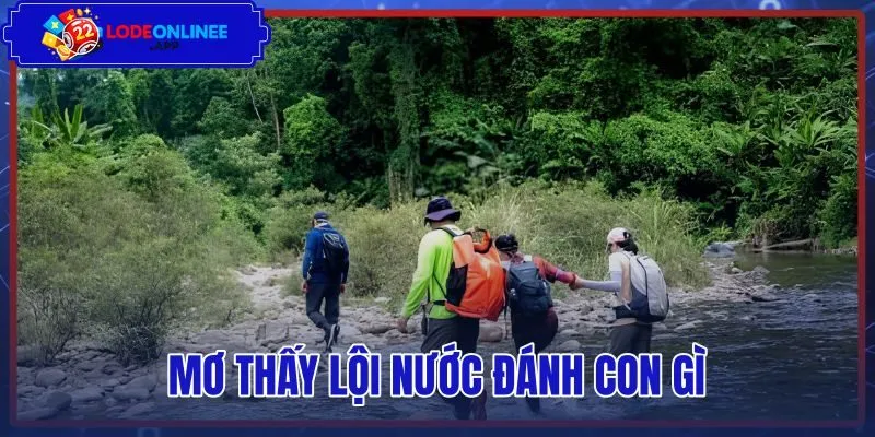 Mơ Thấy Lội Nước Đánh Con Gì – Điềm Báo Và Bảng Số Mơ