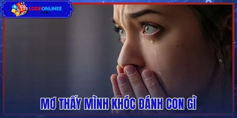 Mơ Thấy Mình Khóc Đánh Con Gì – Giải Mã Tâm Lý Và Sổ Mơ