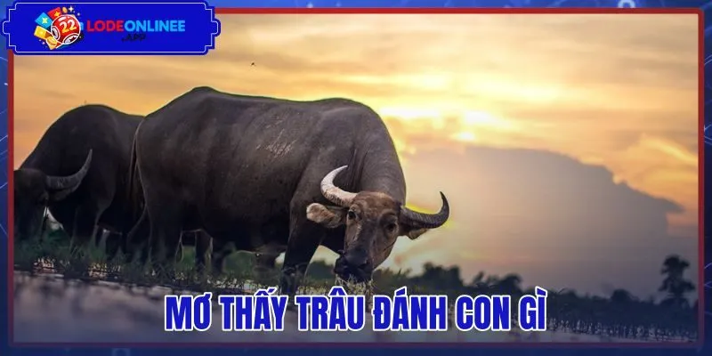 Mơ Thấy Trâu Đánh Con Gì – Tra Cứu Sổ Mơ Bộ Số 03 63 86