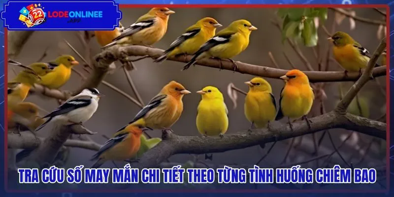 Chi tiết các cặp số tài lộc theo hành vi loài chim